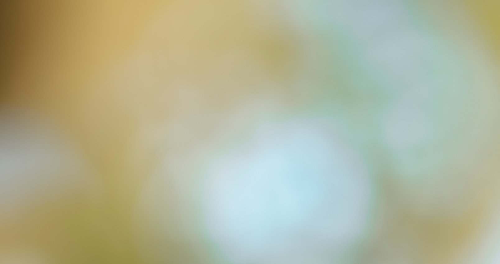 bouteille sur fond vert neuro-actif Lotion de Soin harmonie