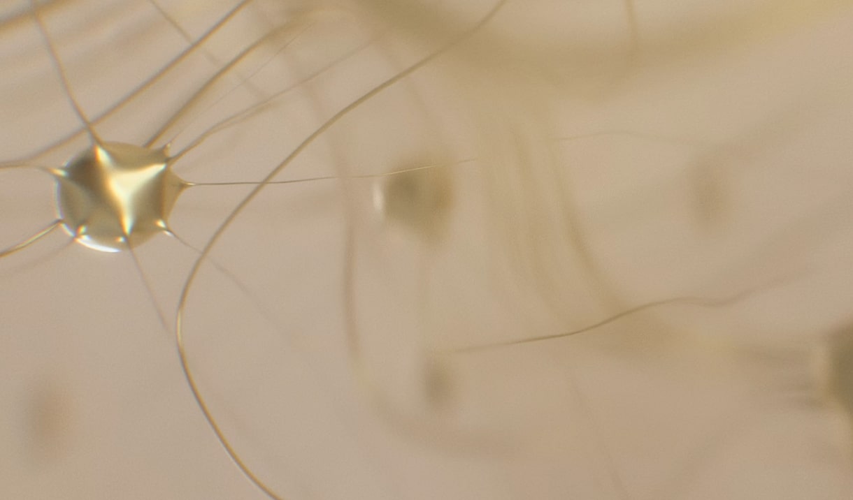 Efficacity test on cells