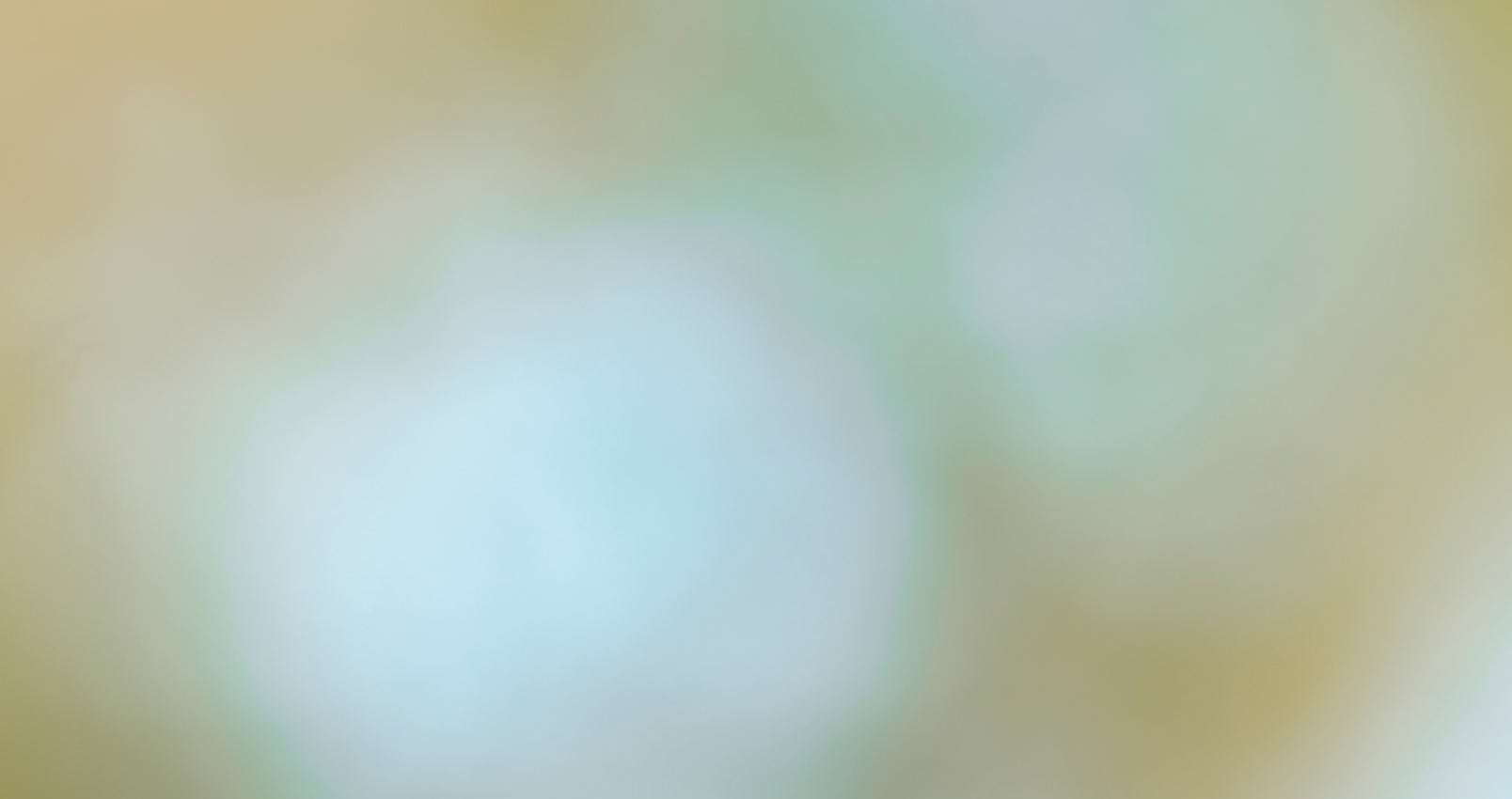 bouteille sur fond vert neuro-parfum Lotion de Soin harmonie