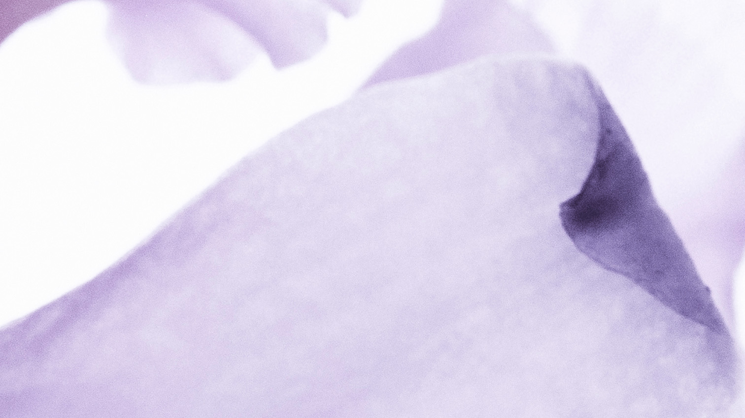 Packshot des crèmes du discovery kit fond violet